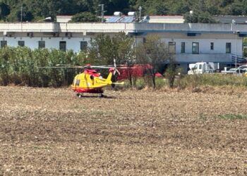 A14, scontro fra 3 auto: 7 feriti, elisoccorso per un bambino. Otto chilometri di coda