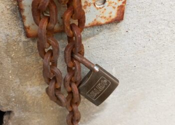 Raid a Pagliarelli, ladri ripuliscono una rimessa agricola: spariti attrezzi per potatura e raccolta olive