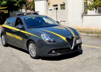 Piantagione da 20 chili di marijuana, scattano sequestro e denuncia per traffico di stupefacenti