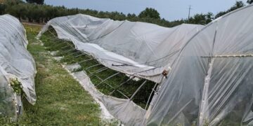 «La grandinata ha distrutto vigneti e ortaggi, raccolto compromesso»