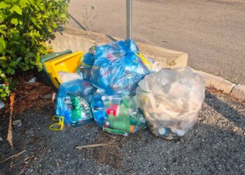 Via Spalato, «Qui, quasi ogni mattina abbandono di immondizia non differenziata»