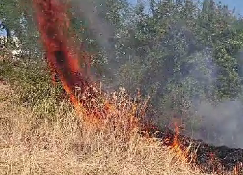 Incendio a Colle Marrollo, fiamme su due versanti: molti focolai, si sospetta il dolo