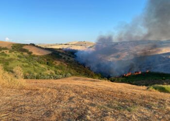 Nel Vastese non si ferma la scia degli incendi. Agricoltori creano linee tagliafuoco