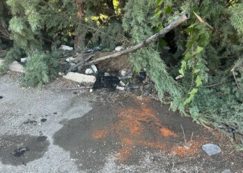 Auto esce di strada e finisce contro un albero, muore 31enne