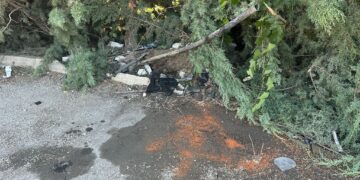 Auto esce di strada e finisce contro un albero, muore 31enne