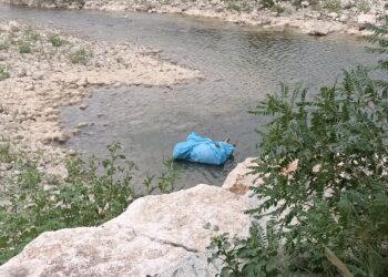 Escursione in riva al fiume, comitiva trova nel Trigno carcassa di animale avvolta in un telone
