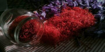 Lo zafferano è Dop da vent’anni: dal 5 al 19 settembre all’Aquila eventi e show cooking