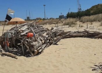 Distrutto il capodoglio di legno sulla spiaggia di Punta Penna
