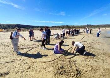 Festival “I 7 capodogli”: la spiaggia di Punta Penna come una galleria d’arte all’aperto