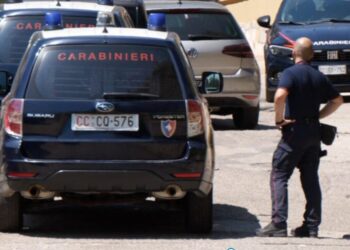 Blitz dei carabinieri con unità cinofile a San Salvo, indagine coperta dal massimo riserbo