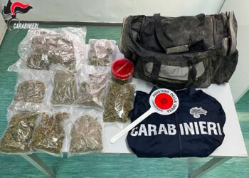 Due borsoni con 1,3 kg di marijuana in una buca in giardino, arrestato studente 23enne