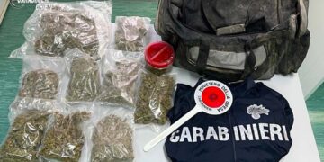 Due borsoni con 1,3 kg di marijuana in una buca in giardino, arrestato studente 23enne