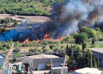 Fiamme nella valle del Trigno, intervento dei vigili del fuoco