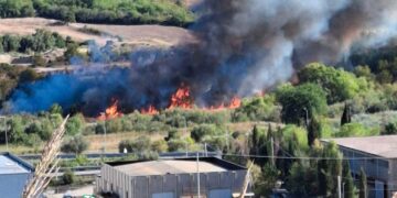 Fiamme nella valle del Trigno, intervento dei vigili del fuoco