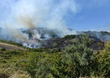 Incendio ha distrutto ettari di vegetazione a Guilmi, 3 canadair e 2 elicotteri per domare le fiamme