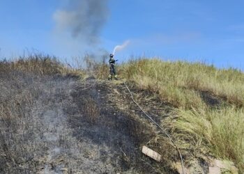 Incendio al confine tra Cupello e Vasto: in cenere 15 ettari di vegetazione