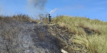 Incendio al confine tra Cupello e Vasto: in cenere 15 ettari di vegetazione