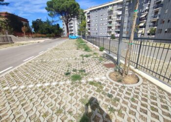La scuola è ricominciata, ma parcheggio vuoto e auto ferme per strada