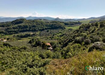 A Lentella fine settimana dedicato all’olio d’oliva e al Sentiero dei gessi