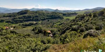 A Lentella fine settimana dedicato all’olio d’oliva e al Sentiero dei gessi