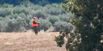 Proroga del Piano faunistico venatorio, tre associazioni presentano ricorso al Tar