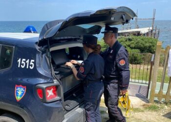 Controlli di carabinieri forestali e Sasi: scarichi abusivi, multe e denuncia