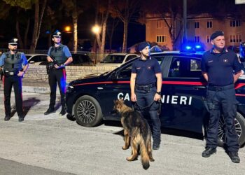 Controlli contro spaccio e lavoro nero: ristorante sanzionato, una patente ritirata