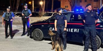 Controlli contro spaccio e lavoro nero: ristorante sanzionato, una patente ritirata