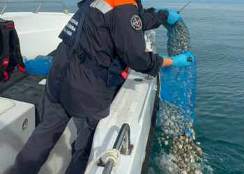 La guardia costiera scopre 100 kg di vongole non tracciate: sequestrate e rigettate in mare