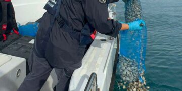 La guardia costiera scopre 100 kg di vongole non tracciate: sequestrate e rigettate in mare