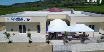 Nuovo canile senza corrente, allaccio entro fine anno. Prorogata la gestione di quello attuale