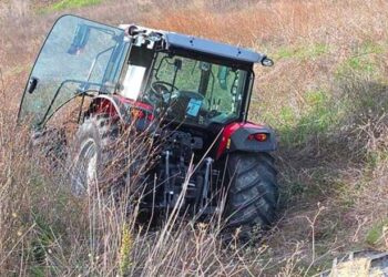 Rubati e nascosti nella vegetazione: ritrovati 2 trattori portati via da una concessionaria di Cupello