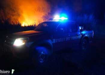 Incendio a ridosso del fiume Trigno domato dai vigili del fuoco