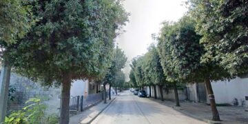 Via Madonna delle Grazie: aggiudicati i lavori per 304mila euro, 69 lecci da tagliare