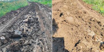 «Prigionieri in casa a ogni pioggia»: la vergognosa condizione di via Mandrè San Rocco