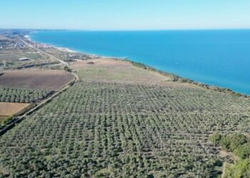 Riserva, battaglia sui confini. Forum H2O: «Non confondere perimetro e destinazione urbanistica»