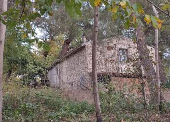 Famiglia che vive nel bosco, Meloni e Nordio valutano l’invio di ispettori ministeriali