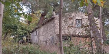 Famiglia che vive nel bosco, Meloni e Nordio valutano l’invio di ispettori ministeriali