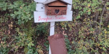 Palmoli, Nordio: «Atto doloroso, servono accertamenti». Anm: «Tutelati i minori, no a strumentalizzazioni»