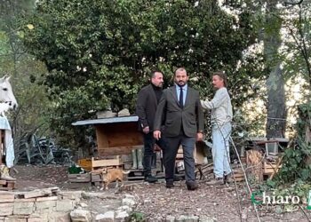 Palmoli, parla il legale Angelucci: «Nella sentenza sono state scritte falsità, faremo ricorso»