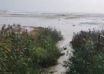 La proposta dei balneari: 6 milioni per Fosso Marino e rifare gli stabilimenti