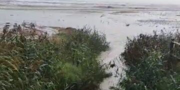 La proposta dei balneari: 6 milioni per Fosso Marino e rifare gli stabilimenti