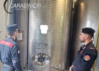 Frantoio senza autorizzazioni e con lavoratori in nero: scatta il sequestro