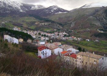 Orso con tre cuccioli a Palena, Comune: «Come comportarsi per evitare rischi»