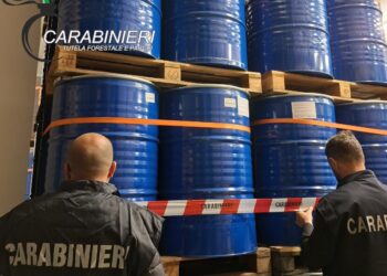 Miele etichettato bio ma prodotto con mangimi non tracciabili: sequestrati 500 quintali