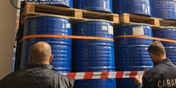 Miele etichettato bio ma prodotto con mangimi non tracciabili: sequestrati 500 quintali