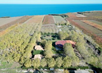 Progetto di resort a Punta Aderci, ecco il vecchio camping chiuso