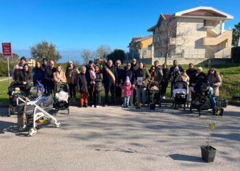 A Fossacesia consegnati 37 lecci ai nuovi nati, «Augurio di vita forte, serena e piena di luce»