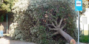 «Bene le migliorie, ma San Salvo si sta trasformando in una deprimente distesa di asfalto»