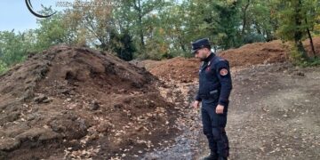 Olio extravergine solo sulla carta: sequestri, denunce e un frantoio clandestino